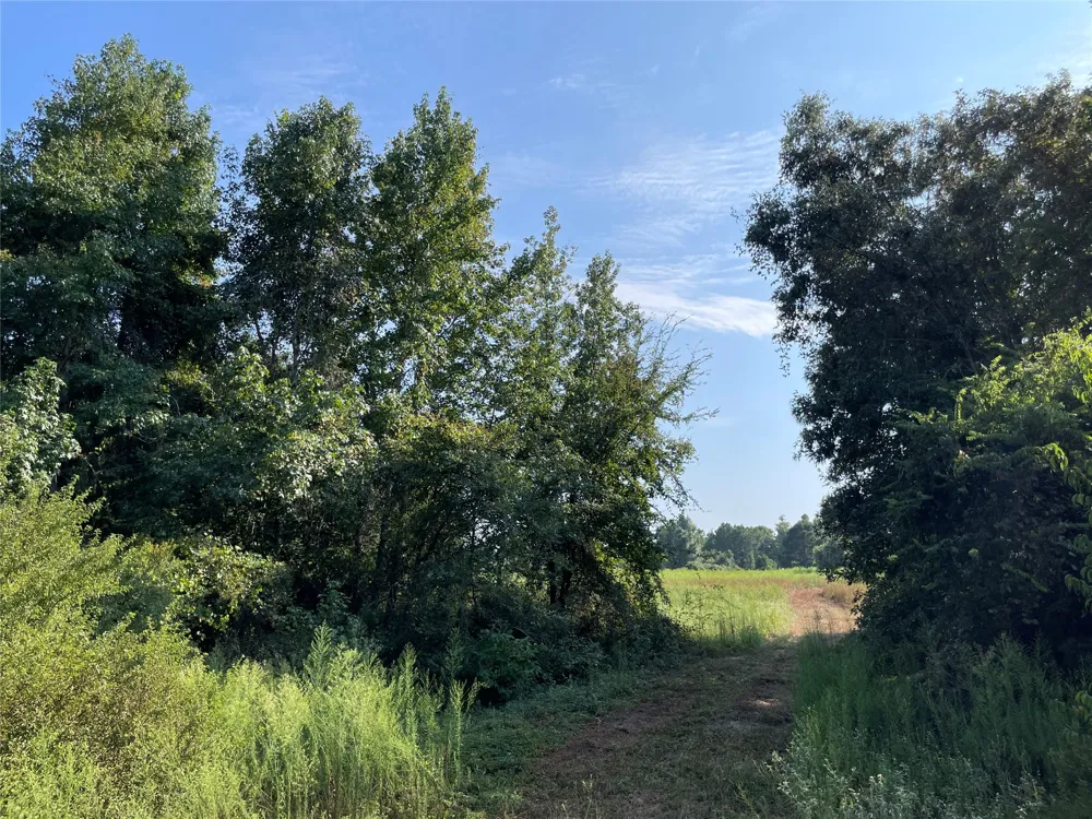 County Road 305 Frankston, TX 75763