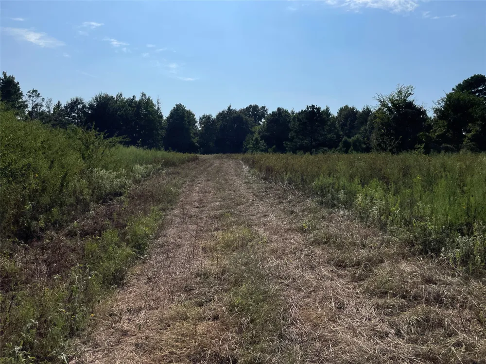 County Road 305 Frankston, TX 75763