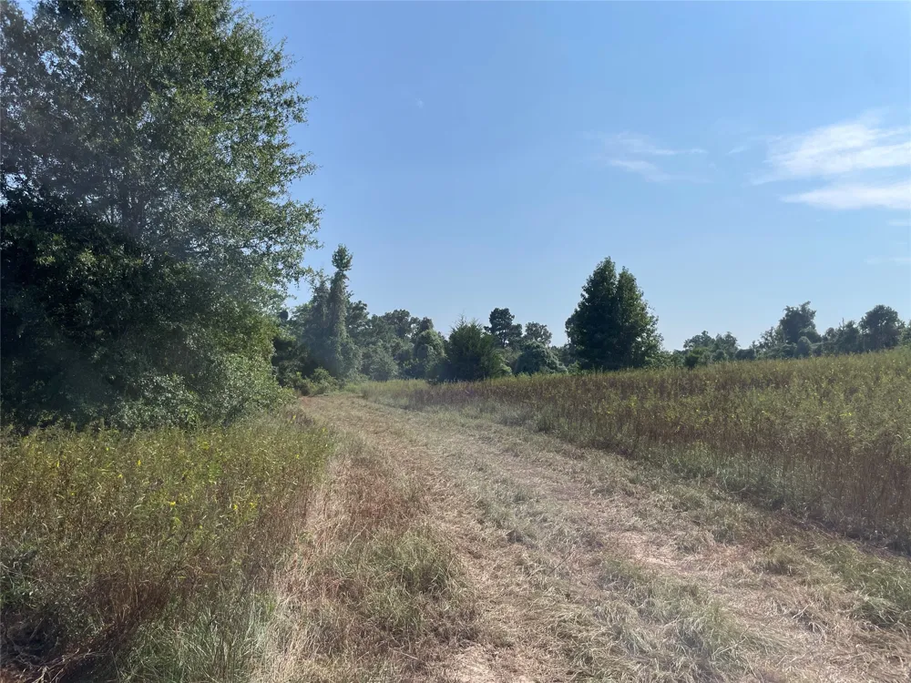 County Road 305 Frankston, TX 75763