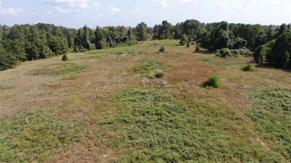 County Road 305 Frankston, TX 75763