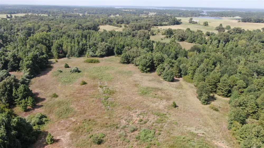 County Road 305 Frankston, TX 75763