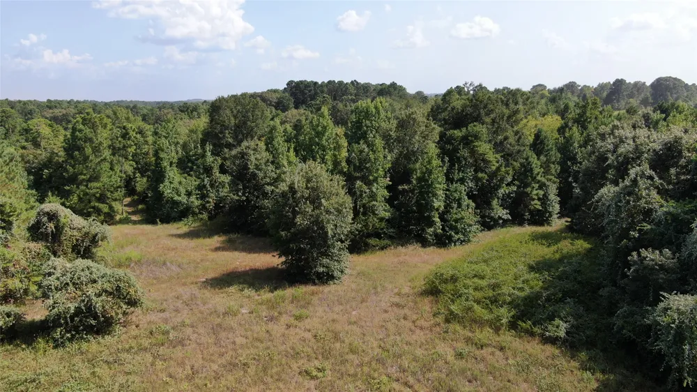 County Road 305 Frankston, TX 75763