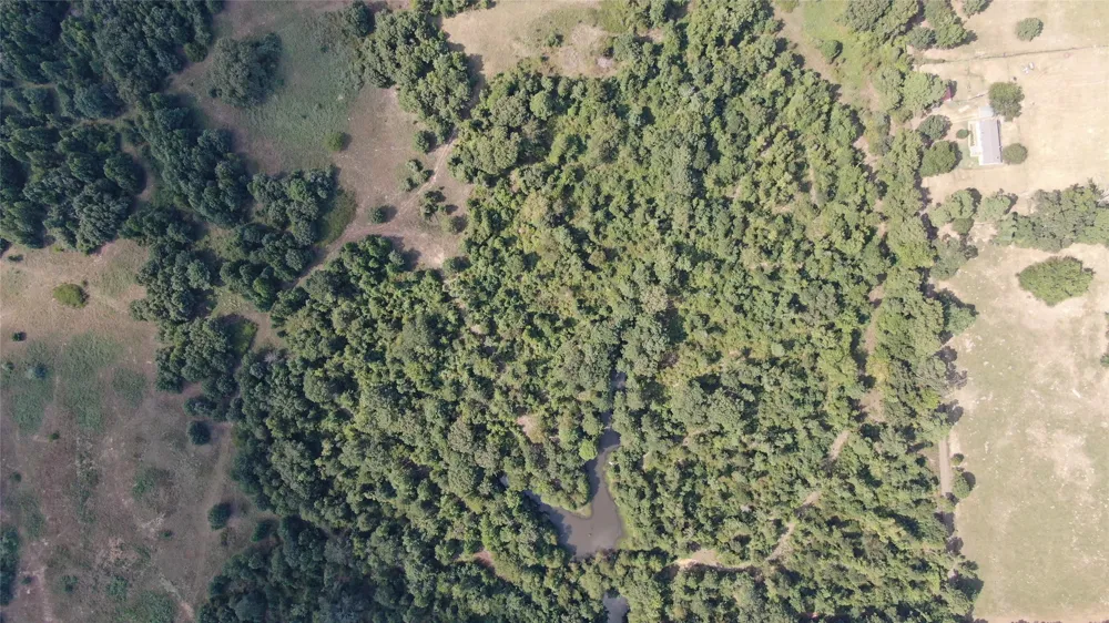County Road 305 Frankston, TX 75763