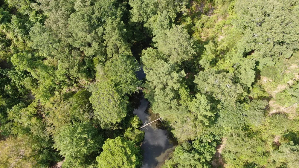 County Road 305 Frankston, TX 75763