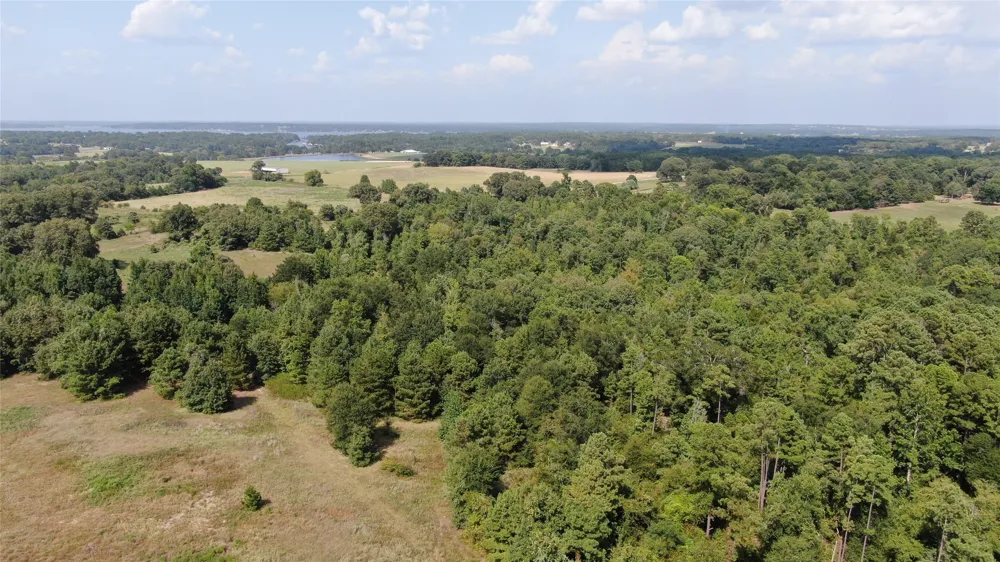 County Road 305 Frankston, TX 75763