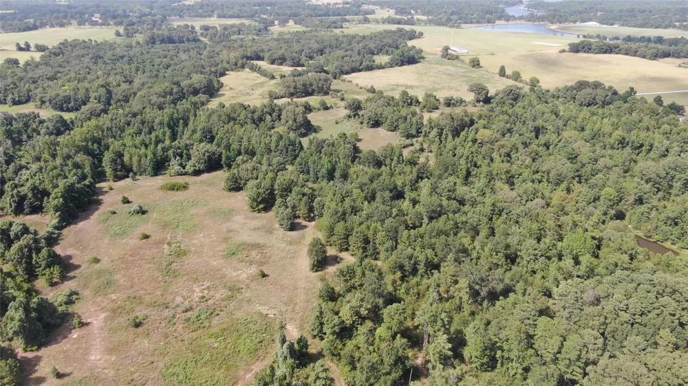 County Road 305 Frankston, TX 75763