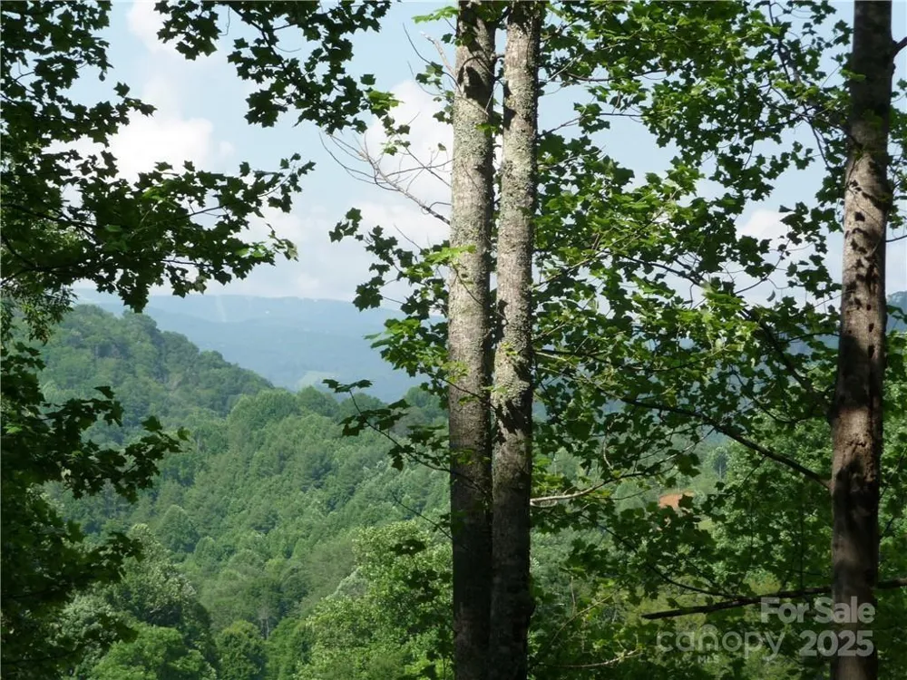 0 Joe Shoemaker Road Vilas, NC 28692