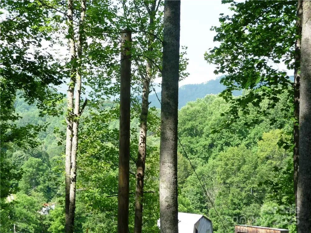 0 Joe Shoemaker Road Vilas, NC 28692