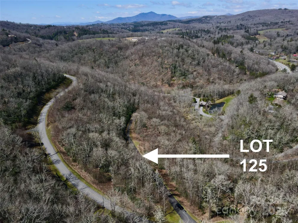125 Stoneledge Lane #125 Blowing Rock, NC 28605