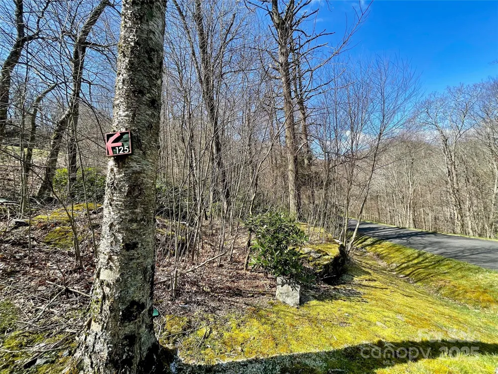 125 Stoneledge Lane #125 Blowing Rock, NC 28605