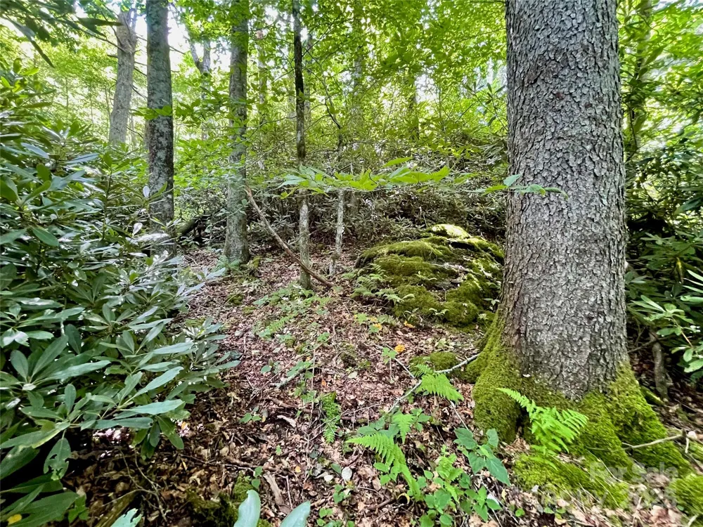 125 Stoneledge Lane #125 Blowing Rock, NC 28605