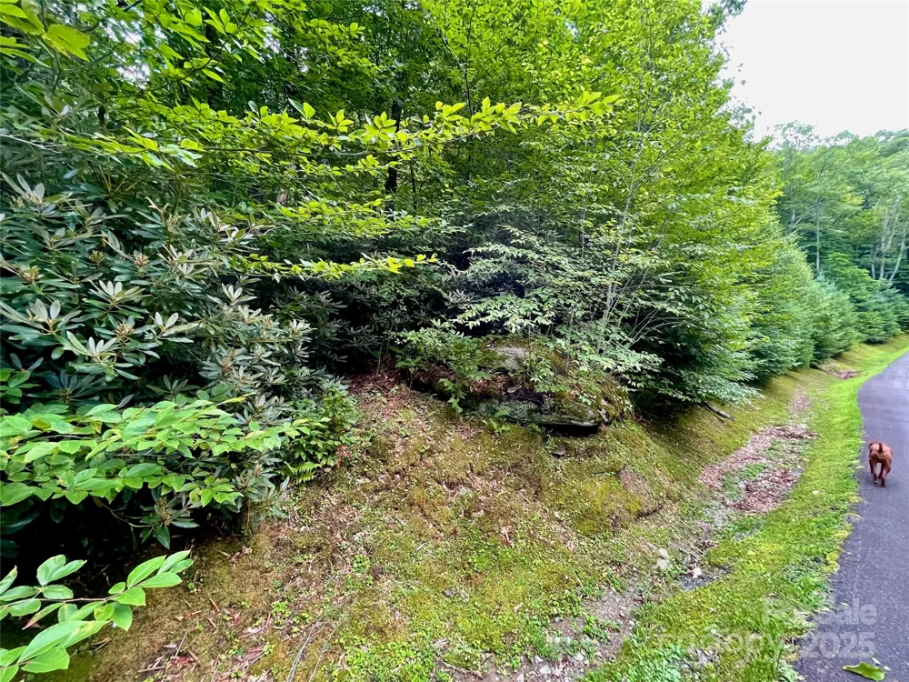125 Stoneledge Lane #125 Blowing Rock, NC 28605