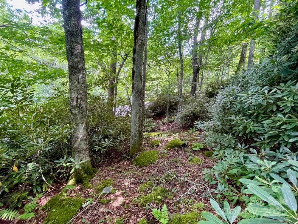 125 Stoneledge Lane #125 Blowing Rock, NC 28605