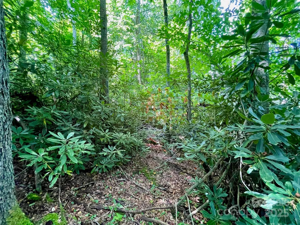 125 Stoneledge Lane #125 Blowing Rock, NC 28605