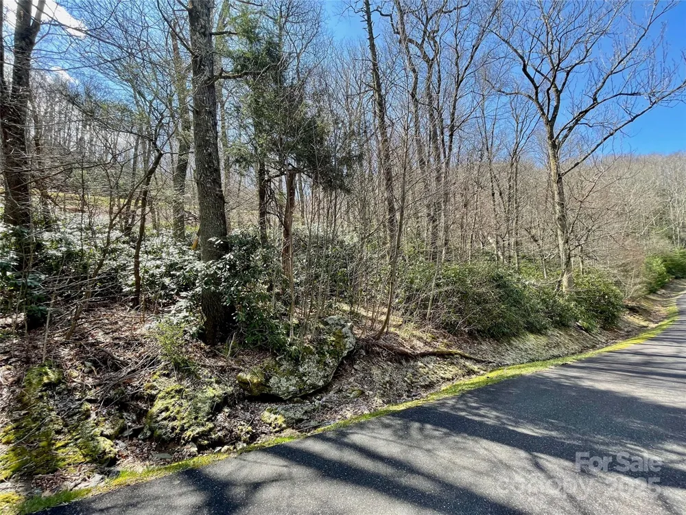 125 Stoneledge Lane #125 Blowing Rock, NC 28605