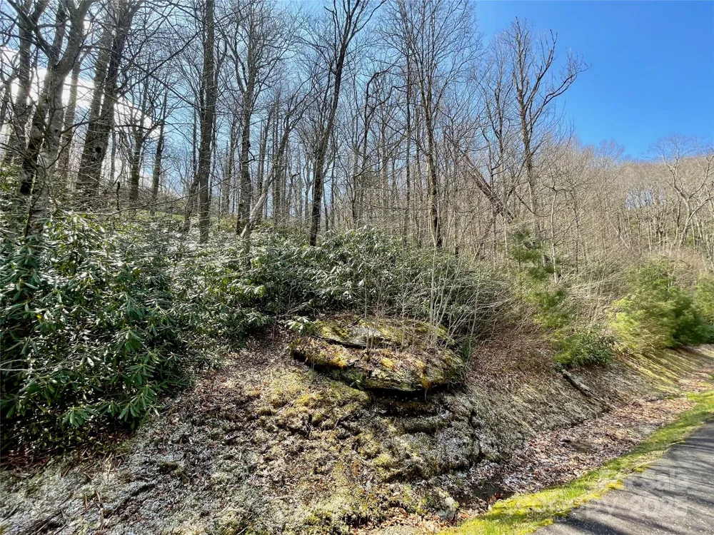 125 Stoneledge Lane #125 Blowing Rock, NC 28605