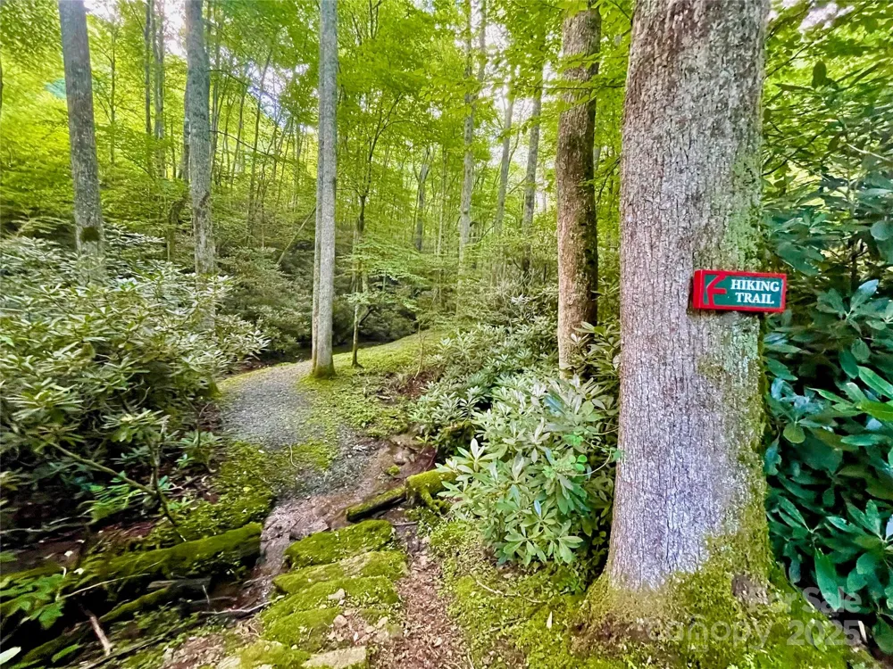 125 Stoneledge Lane #125 Blowing Rock, NC 28605