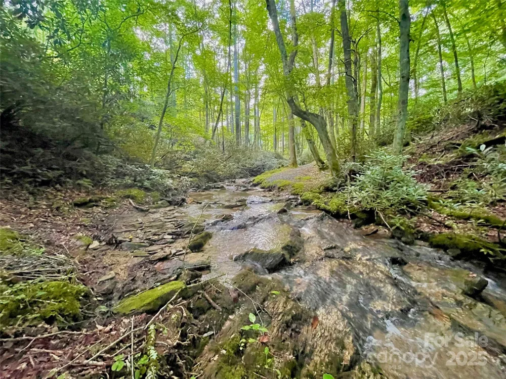 125 Stoneledge Lane #125 Blowing Rock, NC 28605