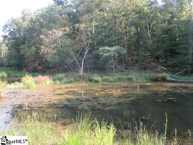 1905 Mckelvey Road Fountain Inn, SC 29644