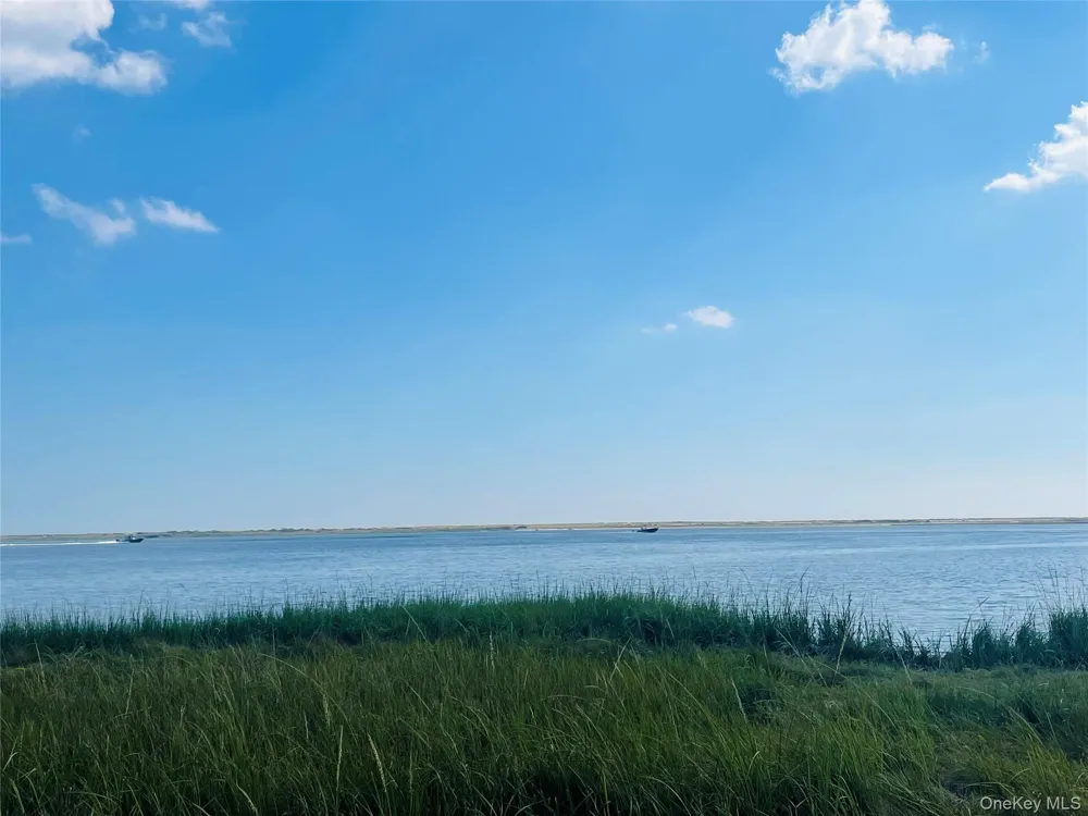 0 Dahlia Drive Mastic Beach, NY 11951
