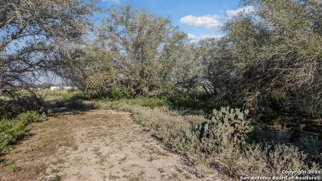 000 County Road 777 Devine, TX 78016
