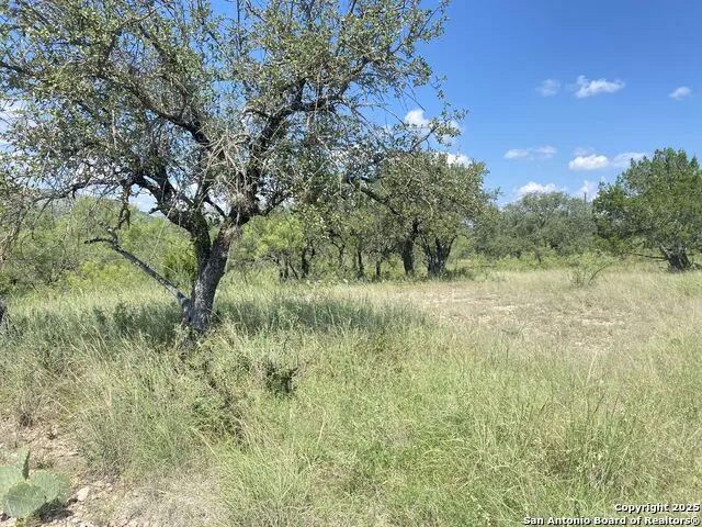 000 Mockingbird Lane Camp Wood, TX 78833