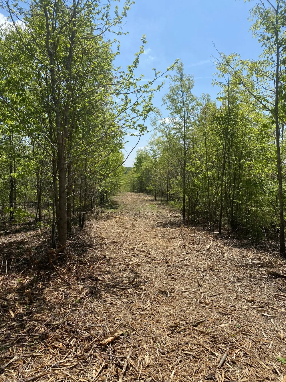 79 Overlook Trail Stewart, TN 37175