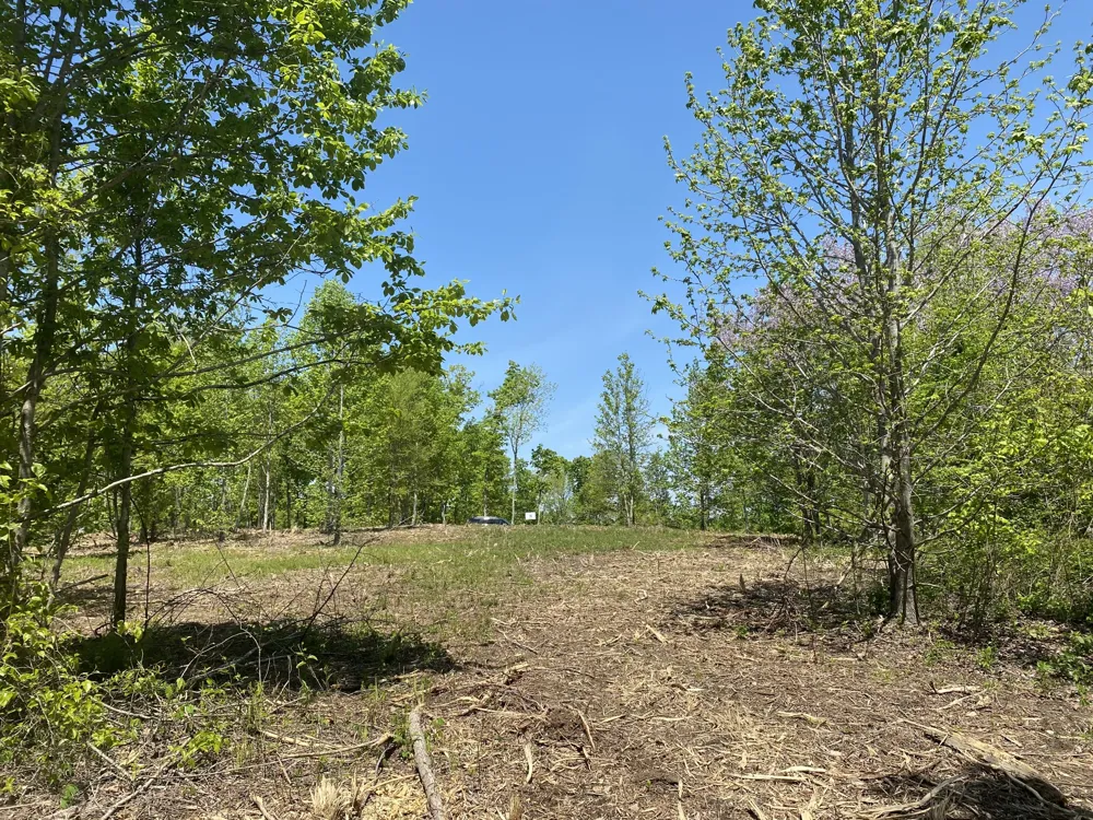 79 Overlook Trail Stewart, TN 37175