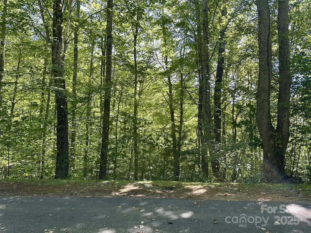 00 Loblolly Way #C11 Maggie Valley, NC 28751
