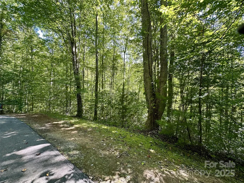 00 Loblolly Way #C11 Maggie Valley, NC 28751