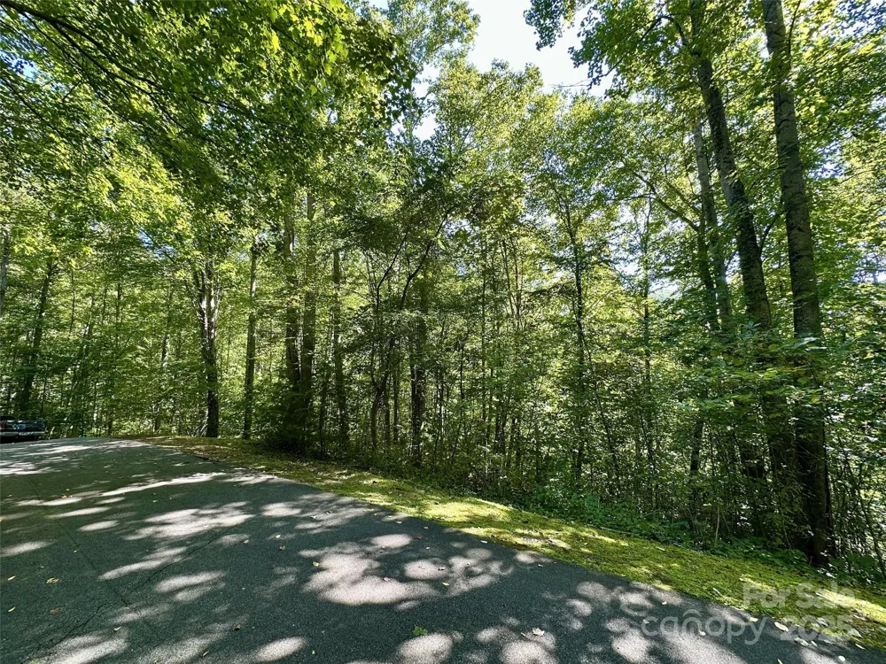 00 Loblolly Way #C11 Maggie Valley, NC 28751
