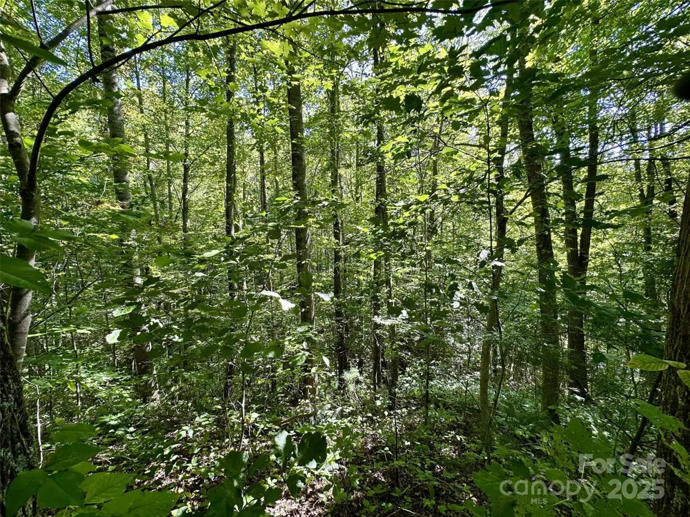 00 Loblolly Way #C11 Maggie Valley, NC 28751