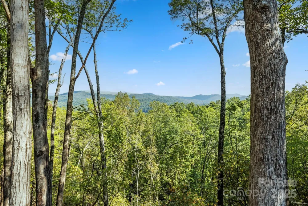 11763 Rosman Highway Lake Toxaway, NC 28747