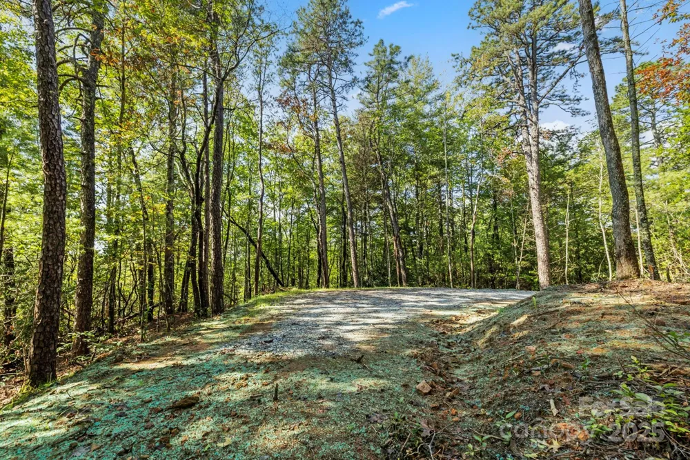 11763 Rosman Highway Lake Toxaway, NC 28747