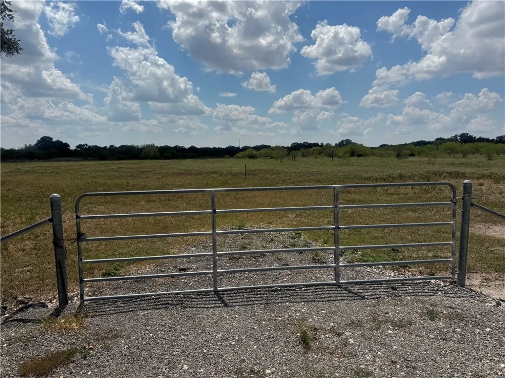 CR 631 Skidmore, TX 78389