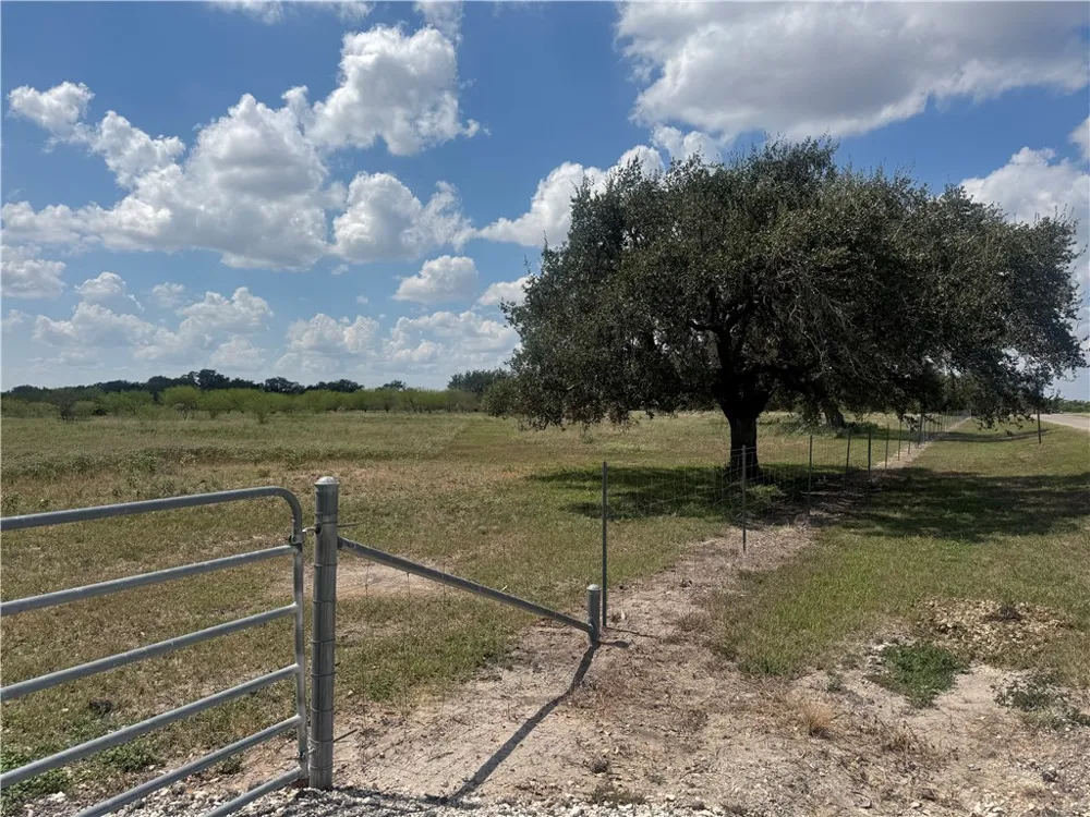 CR 631 Skidmore, TX 78389