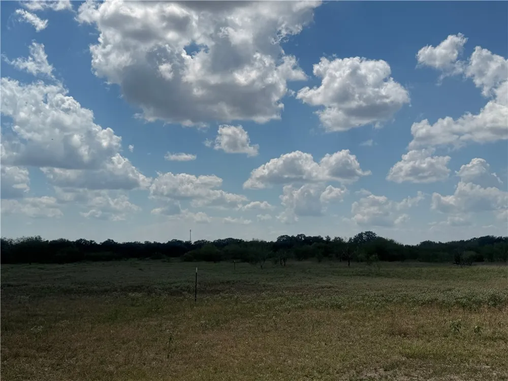 CR 631 Skidmore, TX 78389