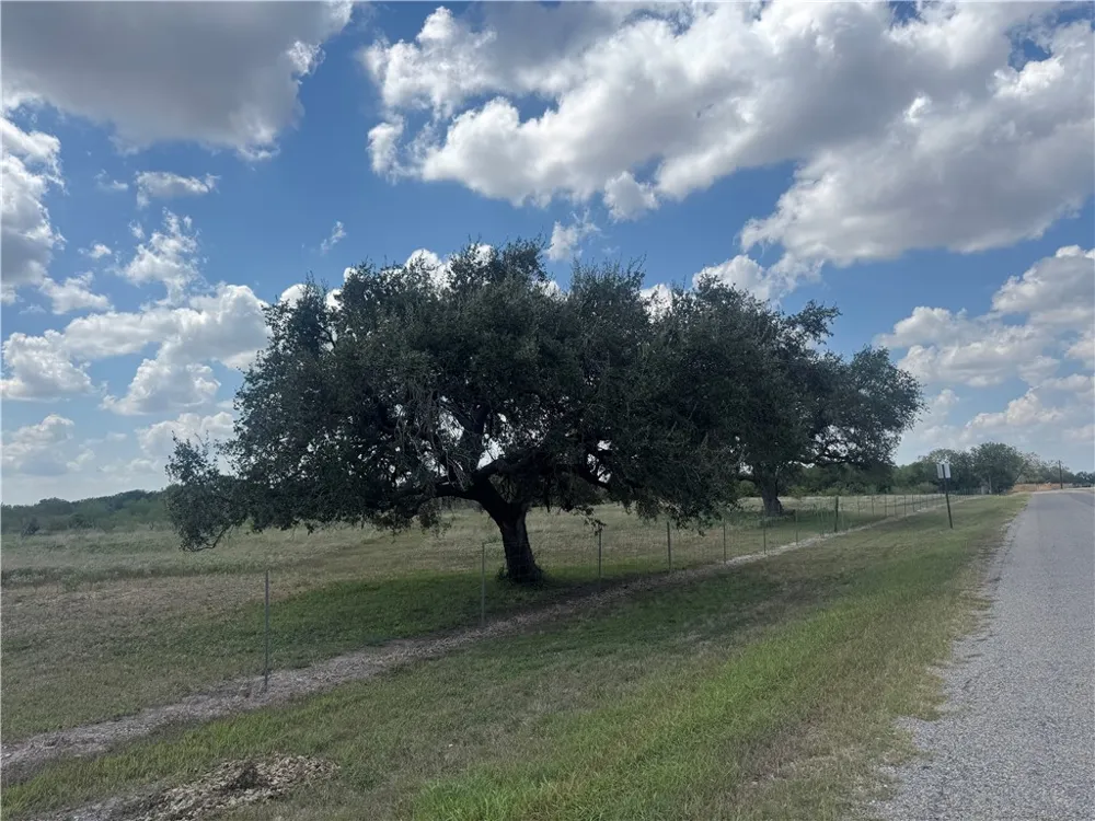 CR 631 Skidmore, TX 78389