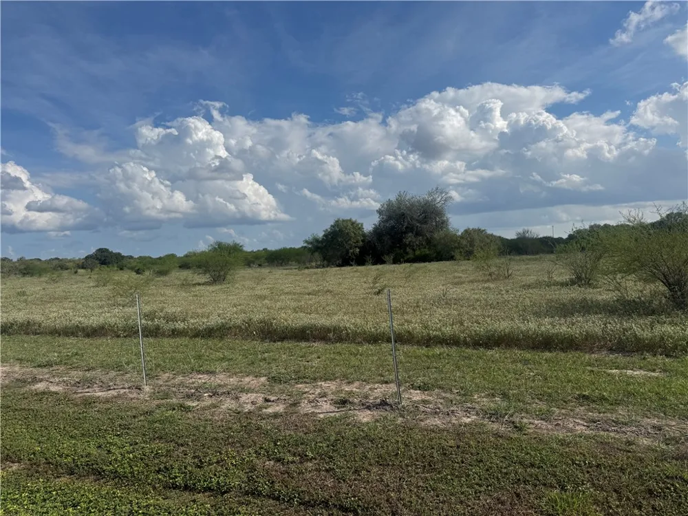CR 631 Skidmore, TX 78389