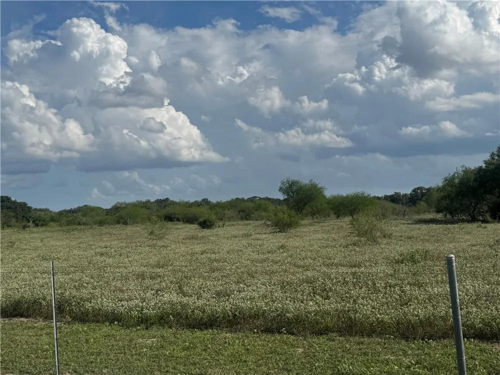CR 631 Skidmore, TX 78389