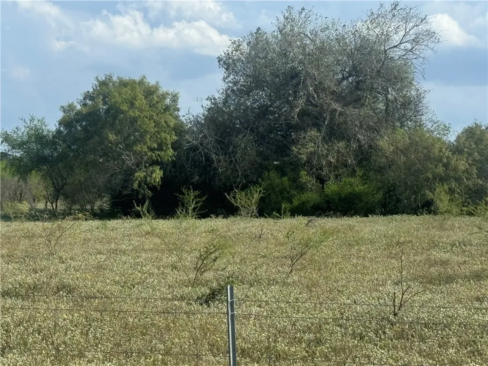 CR 631 Skidmore, TX 78389