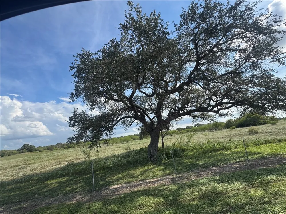 CR 631 Skidmore, TX 78389