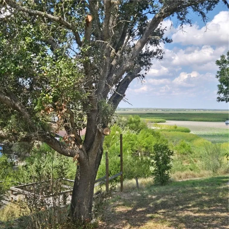 101 Byler Sandia, TX 78383