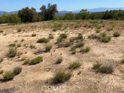 19 Higgins Road Anza, CA 92539