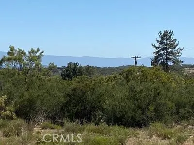 19 Higgins Road Anza, CA 92539