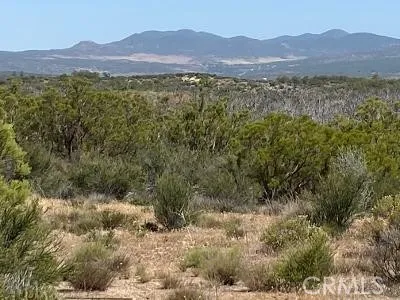 19 Higgins Road Anza, CA 92539