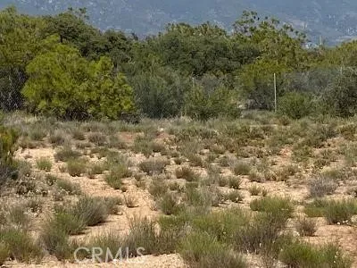 19 Higgins Road Anza, CA 92539