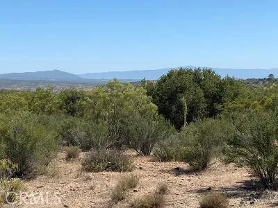 19 Higgins Road Anza, CA 92539