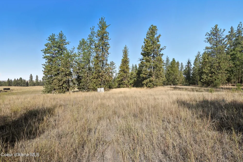 NNA W Elm Lane Medical Lake, WA 99022