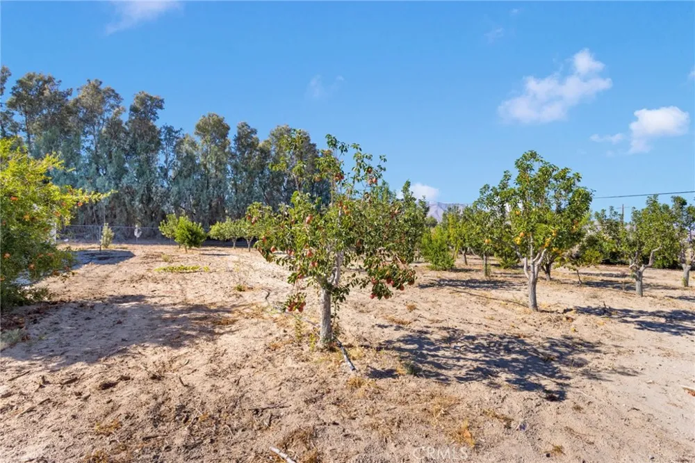 10099 Highland Avenue Lucerne Valley, CA 92356